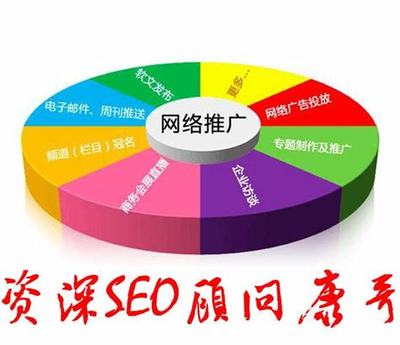 高縣SEO顧問大揭秘 入門教程與2024年技術(shù)推廣服務(wù)更新