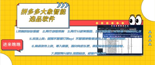 拼多多店群生態全解析 軟件代理、后臺招商與加盟機遇
